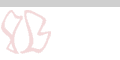 kchk_12_banner_120x60_1a.gif