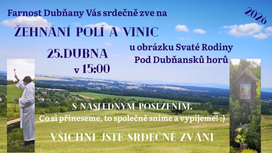 zehnani-poli-a-vinic-26.jpg