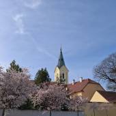 Jaro 1