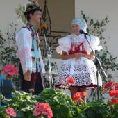 Benefiční odpoledne